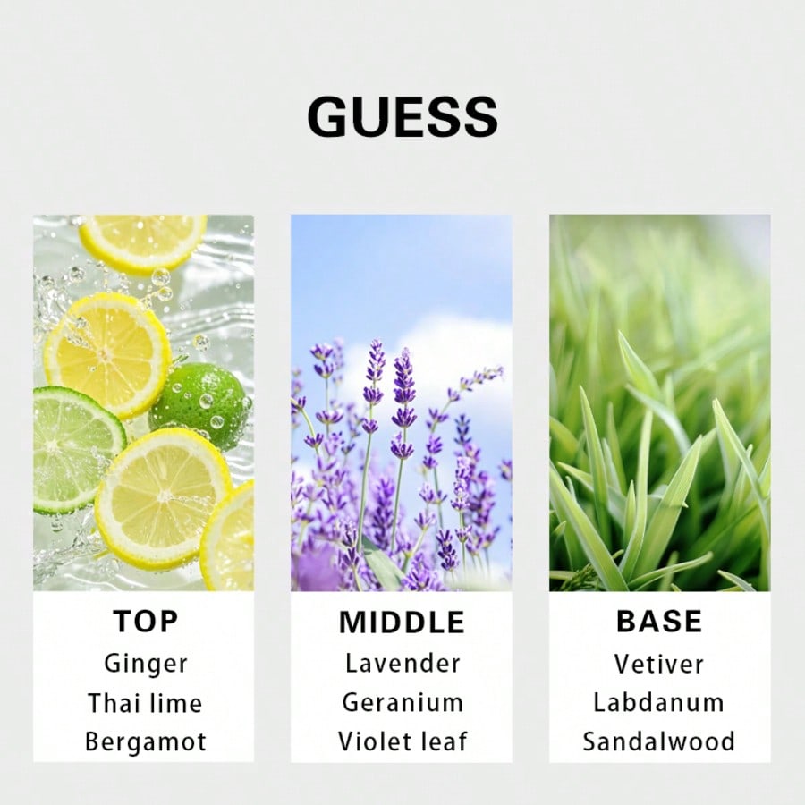 Guess Forever men Eau De Toile - Fragrance Long Lasting Perfume review and price