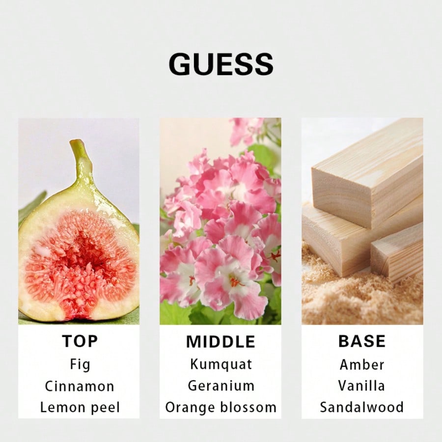Guess Seductive Homme Redmen E - Fragrance Long Lasting Perfume review and price